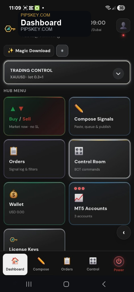 PIPs Key dashboard dark mode