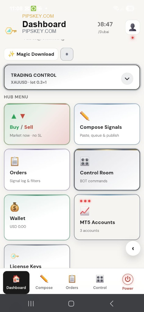 PIPs Key dashboard light mode